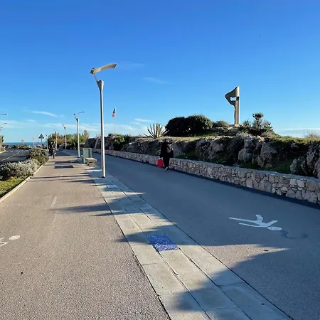 Superbe 2 Pieces Mezzanine, Pres Plage, Parking Inclus, Animaux Admis - Fr-1-338-528