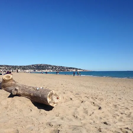 Superbe 2 Pieces Mezzanine, Pres Plage, Parking Inclus, Animaux Admis - Fr-1-338-528 Apartman Sète