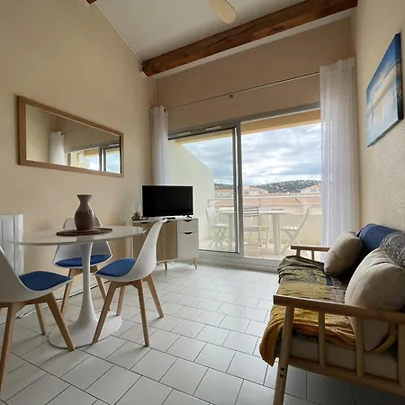 Superbe 2 Pieces Mezzanine, Pres Plage, Parking Inclus, Animaux Admis - Fr-1-338-528 Appartement *