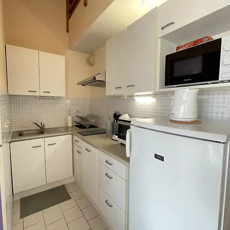 Superbe 2 Pieces Mezzanine, Pres Plage, Parking Inclus, Animaux Admis - Fr-1-338-528 Appartement