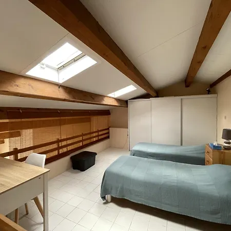 Superbe 2 Pièces Mezzanine, Près Plage, Parking Inclus, Animaux Admis - Fr-1-338-528