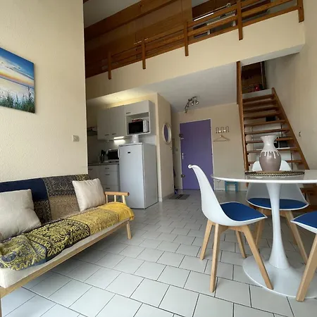 Apartment Superbe 2 Pieces Mezzanine, Pres Plage, Parking Inclus, Animaux Admis - Fr-1-338-528 *