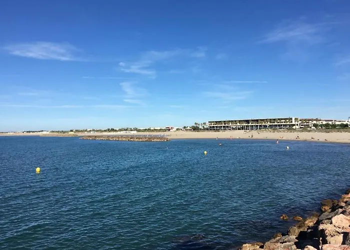 Appartement Superbe 2 Pieces Mezzanine, Pres Plage, Parking Inclus, Animaux Admis - Fr-1-338-528