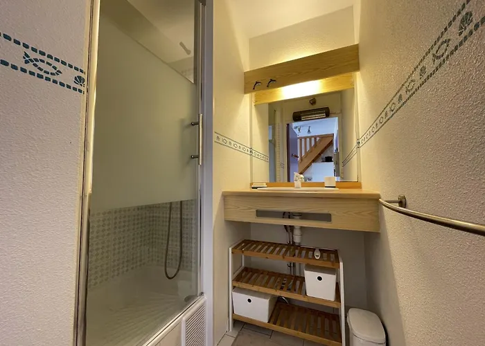 Superbe 2 Pieces Mezzanine, Pres Plage, Parking Inclus, Animaux Admis - Fr-1-338-528 Sète
