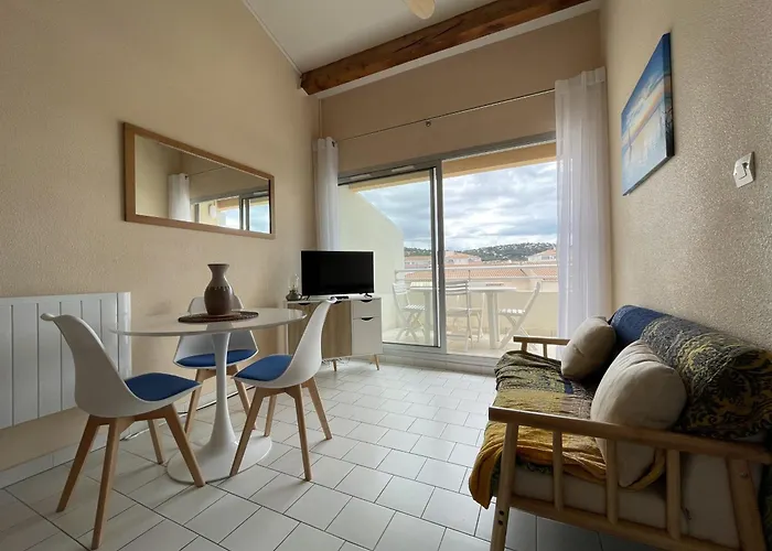 Superbe 2 Pieces Mezzanine, Pres Plage, Parking Inclus, Animaux Admis - Fr-1-338-528 Appartement *