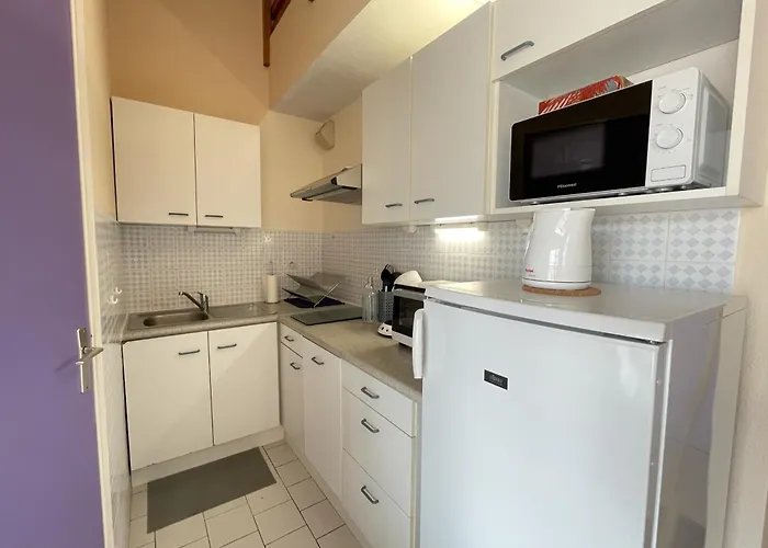 Superbe 2 Pieces Mezzanine, Pres Plage, Parking Inclus, Animaux Admis - Fr-1-338-528 Apartman