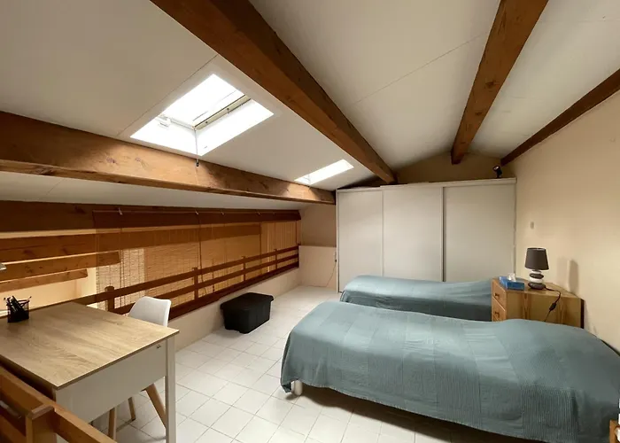 Superbe 2 Pieces Mezzanine, Pres Plage, Parking Inclus, Animaux Admis - Fr-1-338-528