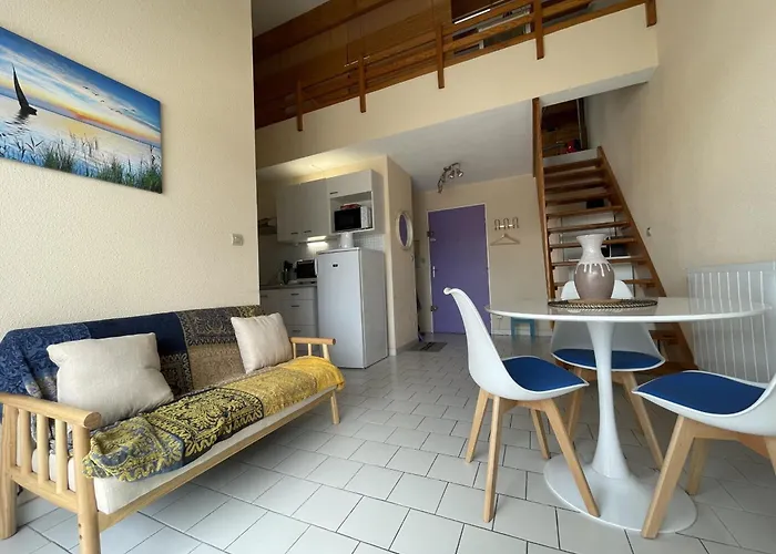 Appartement Superbe 2 Pieces Mezzanine, Pres Plage, Parking Inclus, Animaux Admis - Fr-1-338-528 *